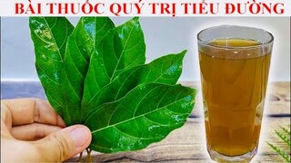 CHỈ 3000 ĐỒNG HẾT HẲN TIỂU ĐƯỜNG, GAN NHIỄM MỠ, MÁU NHIỄM MỠ - BIẾT SỚM ĐỂ SỐNG THỌ 100 TUỔI