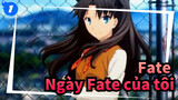 Fate| Ngày Fate của tôi_1