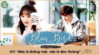 [Vietsub] Blue Bird - Đinh Đang丁当 | Nửa là Đường Mật Nửa Là Đau Thương |半是蜜糖半是傷 | Love Is Sweet OST