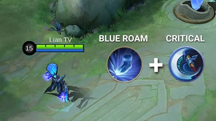 WHAT WILL HAPPEN BLUE ROAM + CRITICAL? (GOOD OR NO?)