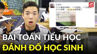 Bài toán tiểu học 'Đại bàng bắt gà con' khiến phụ huynh tranh cãi, đáp án bất ngờ từ giáo viên