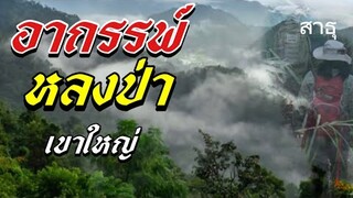 🔴สาธุ: อาถรรพ์ หลงป่าเขาใหญ่ [เรื่องเล่า] #หลงป่าเขาใหญ่ #อาถรรพ์ #สาธุ @สาธุ #เมืองบังบด