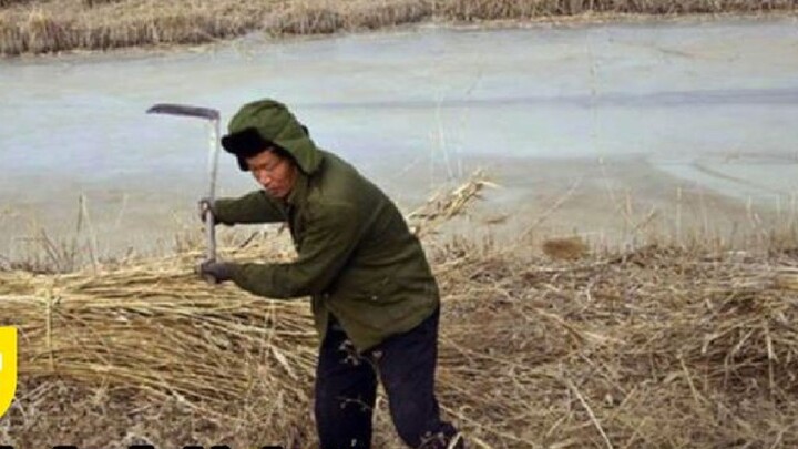 China’s last swordsman? In the northeast, which is more than 20 degrees below zero, they harvest wit