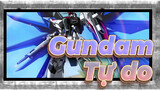 Gundam-Tự do_E