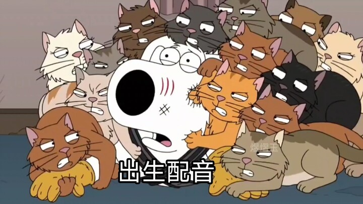 【Family Guy】【Chinese version】Cat vs. Dog 2