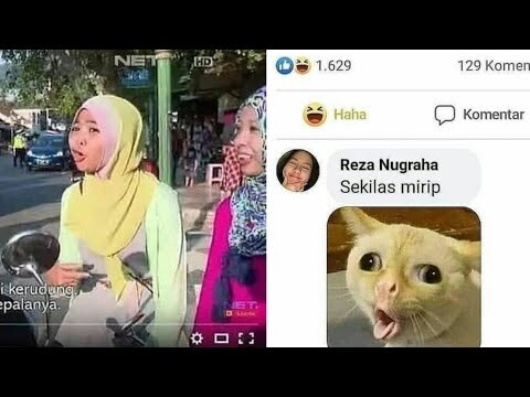 Kumpulan Meme Absurd yang Saya temukan di Sekitar Rumah (24)