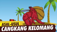 Asal Usul Cangkang Kelomang | Asal Usul