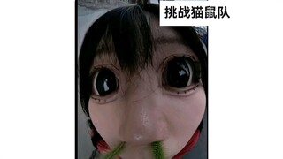 猫鼠队最内涵的一集🌀