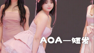 真的是公主 Aoa-短发