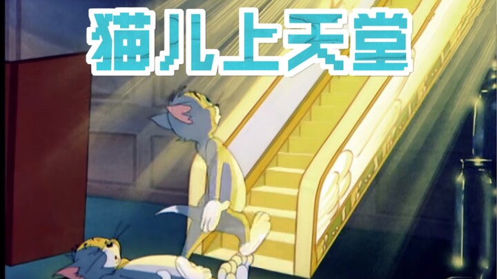 Tom and Jerry|第042集：猫儿上天堂【4K修复版】
