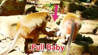 OMG! DeeDee Pull Baby Jilla So Hurt, Mum Jill Try To Take Baby Back From DeeDee Monday