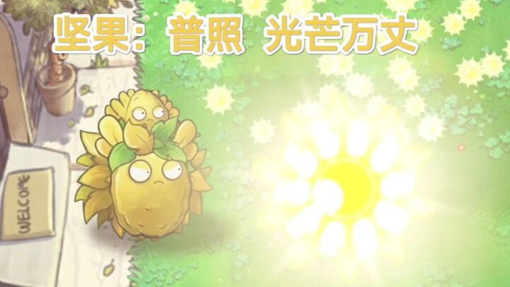 pvz读评论7.0   坚果：普照  光芒万丈
