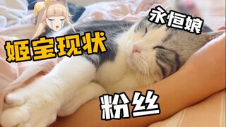 为什么：姬宝眼里常含泪水？【姬本操作】EP.35