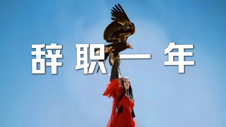 453s记录普通女生头脑发热的一年！
