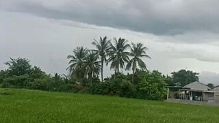 cảnh đẹp miền quê