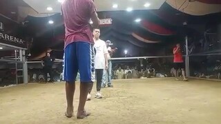 2nd fight JP DRAGON COCKPIT CAVITE CITY JUNE 4 2023