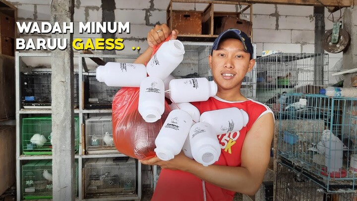 REKOMENDASI WADAH MINUM MERPATI - MURAH MERIAH