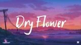 【Xibiechan】Dry Flower - Yuuri【cover】