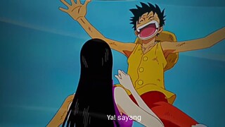 ketika hammock di peluk, luffy nya...