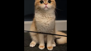 น่ารัก🥰