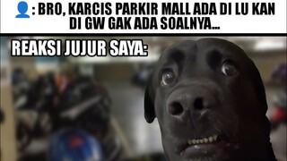 Karcis Parkir di Lu Kan?...💀(Dog Confused Meme)