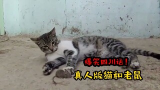 四川方言：真人版猫和老鼠闹笑话，笑看汤姆猫大显神威抓老鼠