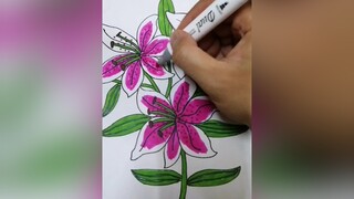hoa lily nở trong tranh drawing drawingart drawinglily vehoa vehoalily vetranh stayhomechallenge stayhomecovid19