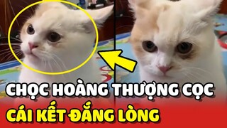 Sen chọc phải Hoàng Thượng SIÊU CỌC và cái kết ĐẮNG LÒNG 😂 | Yêu Lu