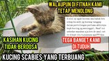 Ya Allah Tega Banget Kami Di Marah-Marah Gara-Gara Telat Nolong Kucing Scabies Karena pada sakit..!
