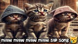 miaw miaw miaw sad cat song (lyrics video)