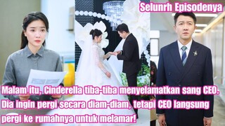Diselamatkan Cinderella, Dilamar Sang CEO: Kisah Cinta yang Terjadi dalam Semalam
