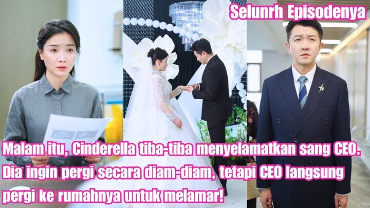Diselamatkan Cinderella, Dilamar Sang CEO: Kisah Cinta yang Terjadi dalam Semalam
