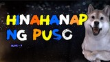 HINAHANAP NG PUSO - DOG COVER Lip Sync LYRICS 🐶🎤🎶🎶