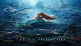 The Little Mermaid   full movie : Link in Description