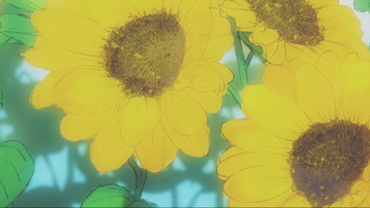 [Yoshinin's Handwritten Letter] Sun and Sunflower