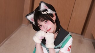 Kakak Li, ini jenis kucing apa? 【Layar vertikal】