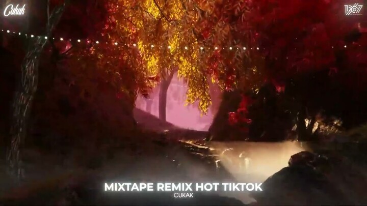 Hoa Cỏ Lau Remix - Giữa Mênh Mang Đồi Hoa Cỏ Lau - Nhạc Hot TikTok Hiện Nay