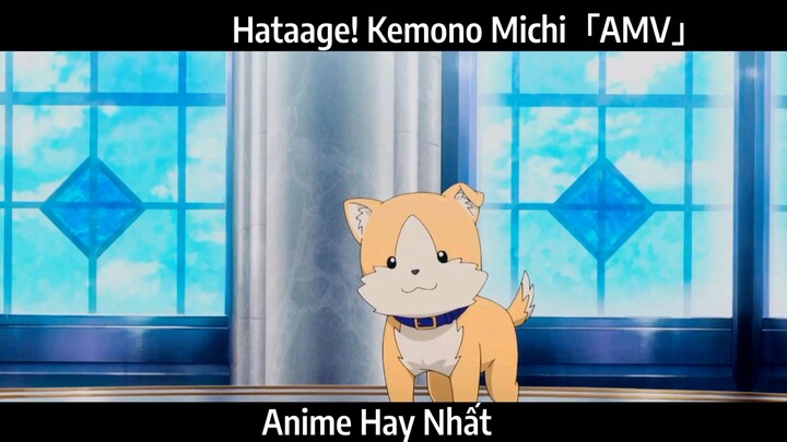 Hataage! Kemono Michi「AMV」Hay Nhất