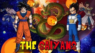 Why Have Goku or Vegeta Never WISHED BACK THE SAIYANS? | History of Dragon Ball