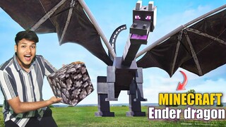 I Built Minecraft Ender Dragon In Real Life !