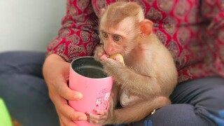 Good Behavior Girl!! Tiny adorable Yaya sits down gently eating Putra fruit