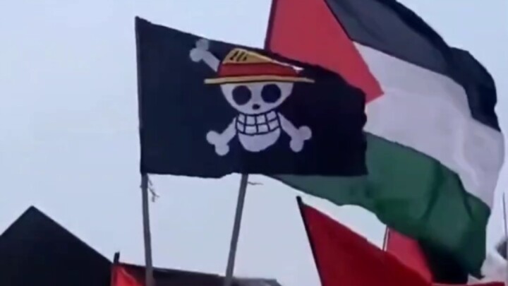 This flag appears at Palestinian rallies