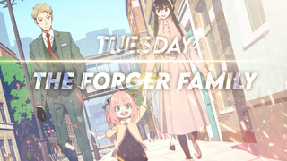 SpyxFamily ครอบครัวผู้ปลอมแปลง-{AMV} -TUESDAY