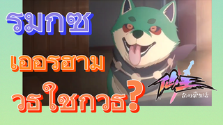 [ชีวิตประจำวันของราชาแห่งเซียน] รีมิกซ์ | เอ้อร์ฮามีวิธีใช้กี่วิธี?