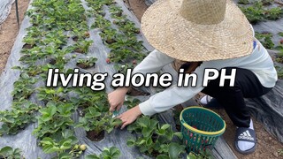 I don’t know where I’m going... but I’m going | Solo Trip🍹| Living Alone in the Philippines