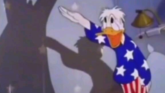 Donald trippin