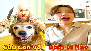 Thú Cưng TV  Gâu Đần và Bà Mẹ #62 Chó Golden Gâu Đần thông minh vui nhộn | Pets cute smart dog