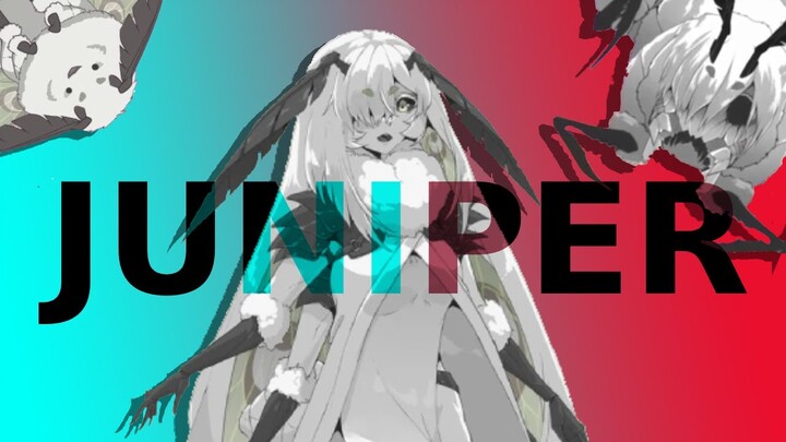 The Moth VTuber You MUST Watch - Juniper Actias