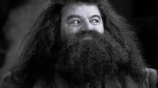 Nam diễn viên đóng vai Hagrid đã qua đời.