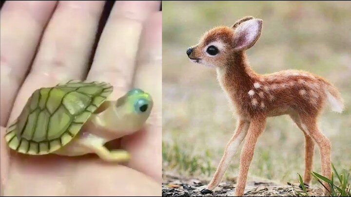 HAVING A BORED DAY ? Funniest Animals Scared People Reaction of 2019 Weekly 😆😆 Funny Animal Video - Bilibili HAVING A BORED DAY ? Funniest Animals Scared People Reaction of 2019 Weekly 😆😆 Funny Animal Video - Bilibili